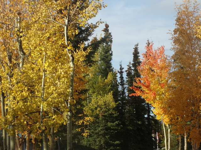 Glorious colors at Tok RV Village
