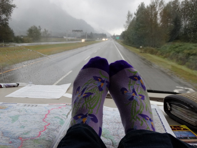 I was wearing my Alaska wild iris socks today