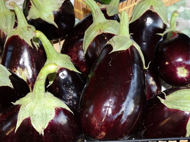 Eggplants - don't let them get warm or they'll hatch!  ;-)