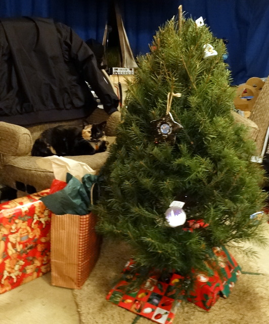 Presents under the tree and Kimba keeping guard!