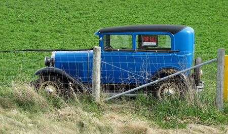 Mark did a U turn on the highway and stopped to look at this car for sale in someone's pasture.