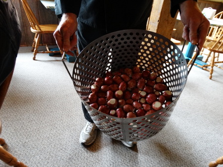 The first part was large quantities of salt and red potatoes.