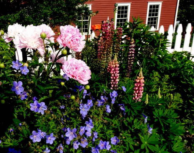 A white picket fence with flowers planted in front
