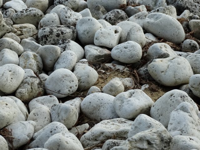 White rocks on the beach