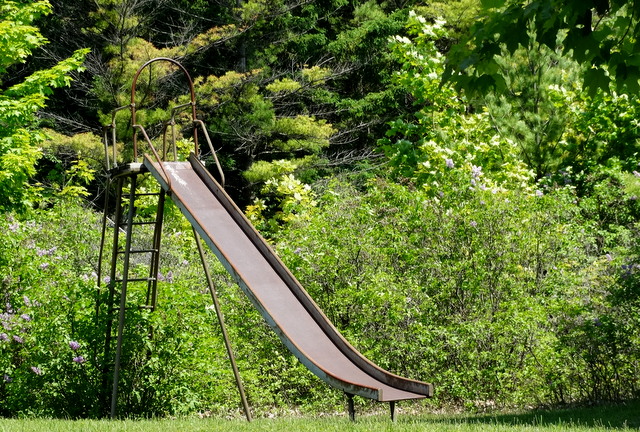 The slide with an overgrown ladder
