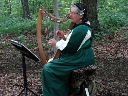 This harpist was playing with them and she told us a little about the kind of harp she was playing.