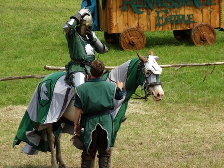 With the help of his page, the green knight prepared for the fight to the death.