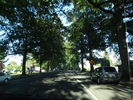 The tree lined street leading into Lynden