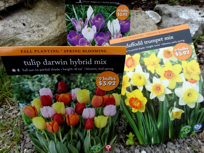 Crocus's and daffodils and tulips...Oh, my!