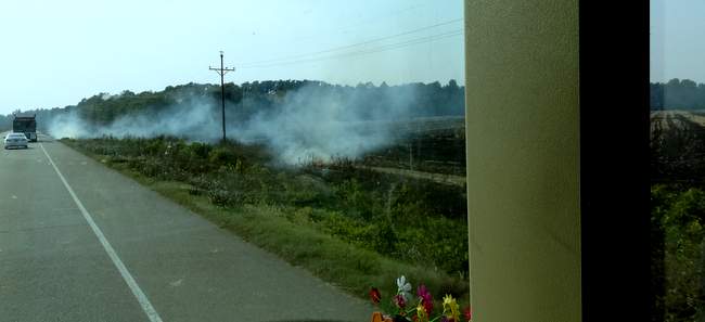 There was a fair amount of field burning going on.  It made things hazy for a while.