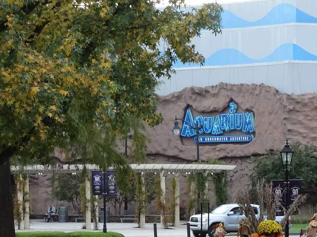 When the tour was over we were hungry so we ate at the Aquarium restaurant across the street from the Grand Ole Opry.