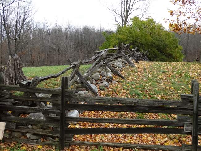 This is the type of fence the sign in the grove was describing...piles of rocks lined up with wood fencing over the top to keep the livestock in and the wild animals out.