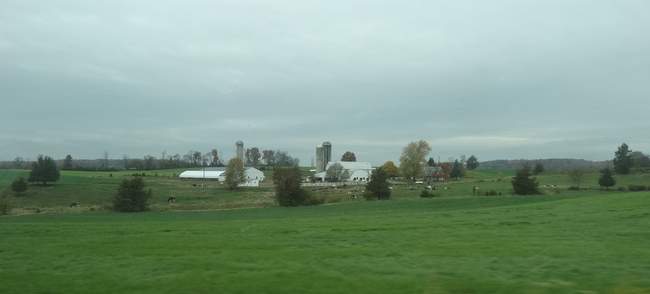 On the drive to Akron we passed lots of farms.