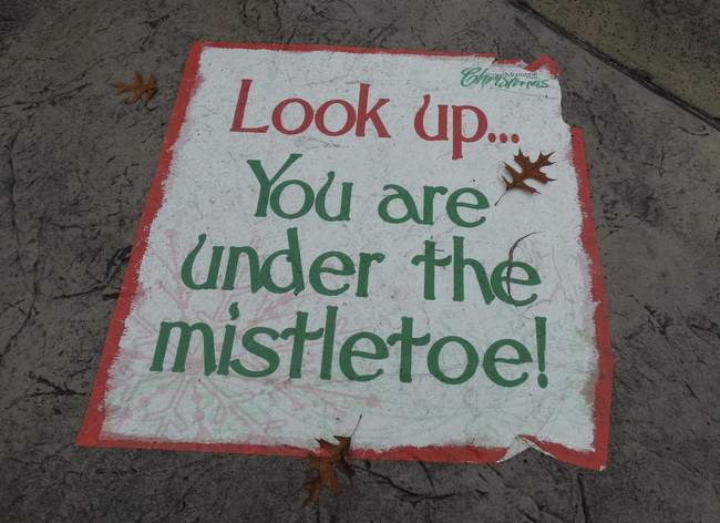 I was watching the ground and saw this sign painted on the sidewalk.