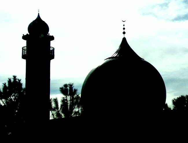 Without saying anything for or against Muslims, I still admire the architecture of their domes.  I had to put these in shadow because of the water streaks on my window.
