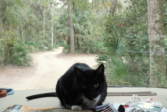 Dobby came out to oversee the long drive into the jungle.