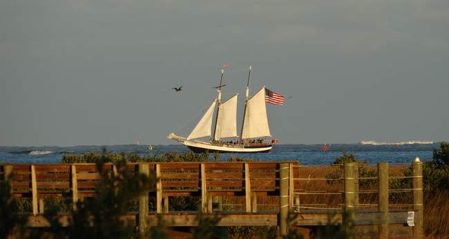 One of the tour schooners sailed by.