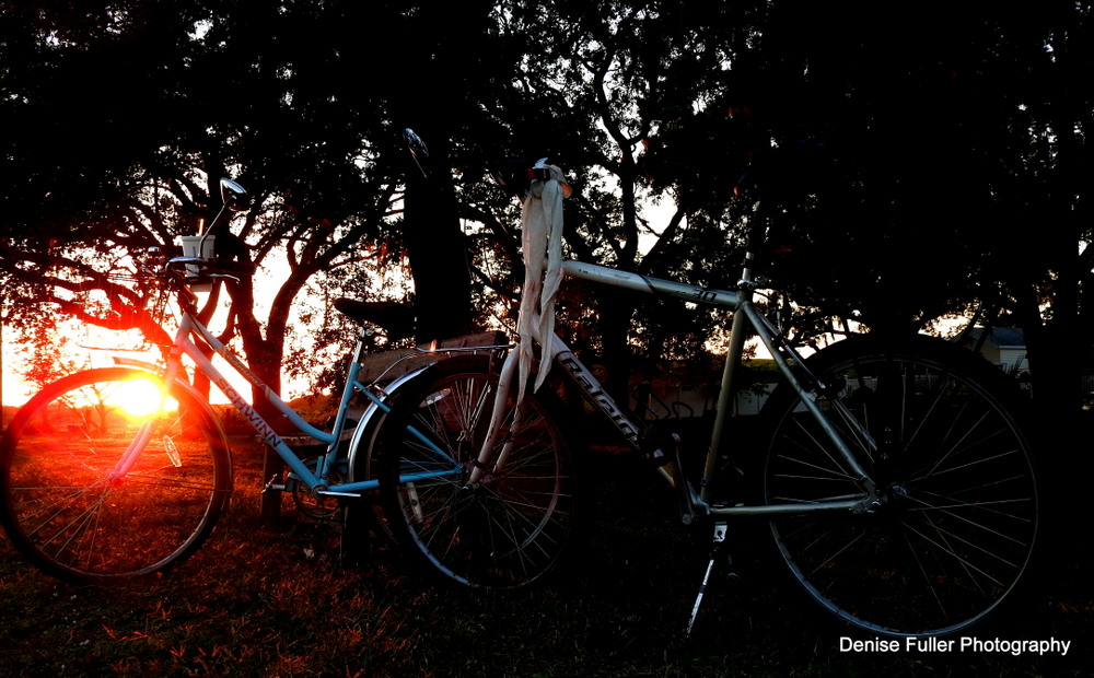 The sun setting behind our bicycles
