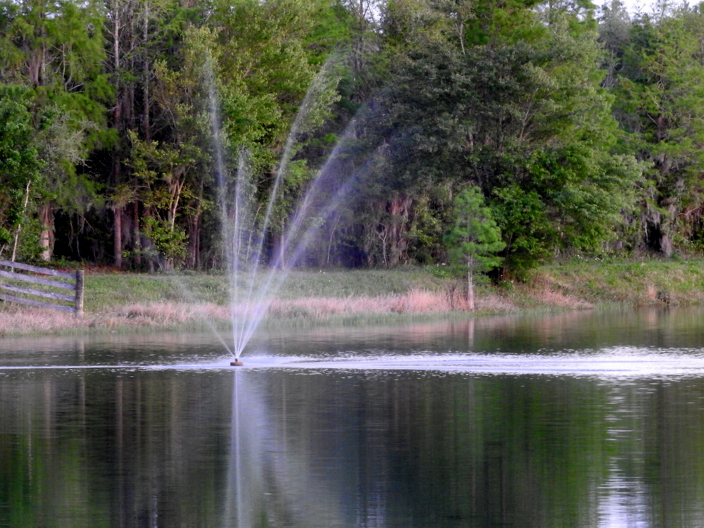 There was a fountain like this in one of the ponds at Sun N Fun.
