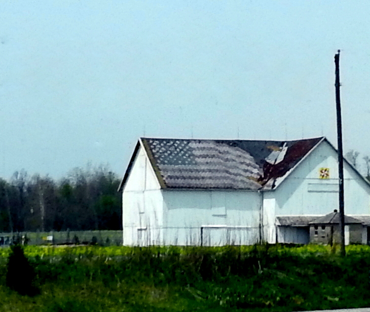I couldn't quite make out the pattern on this barn quilt, but the roof was interesting too.