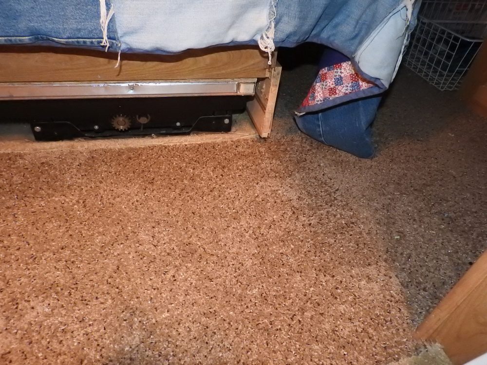 We pulled out the ugly gold carpeting and put in carpet tiles around the bed.