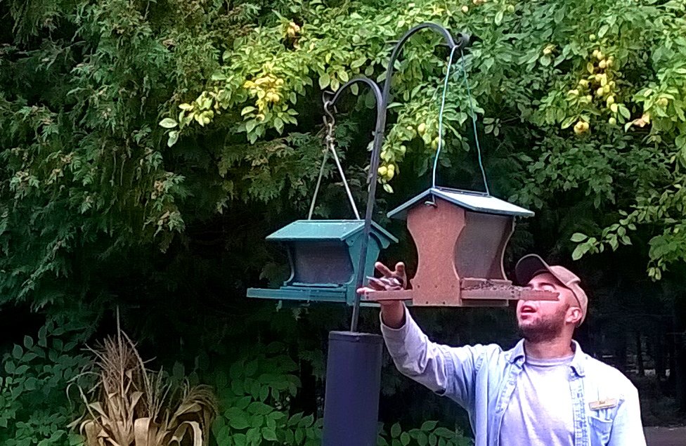 The bird jumped down to the feeder and I saw Joe bring his hand up. I thought, "He's never going to get it to come to him."