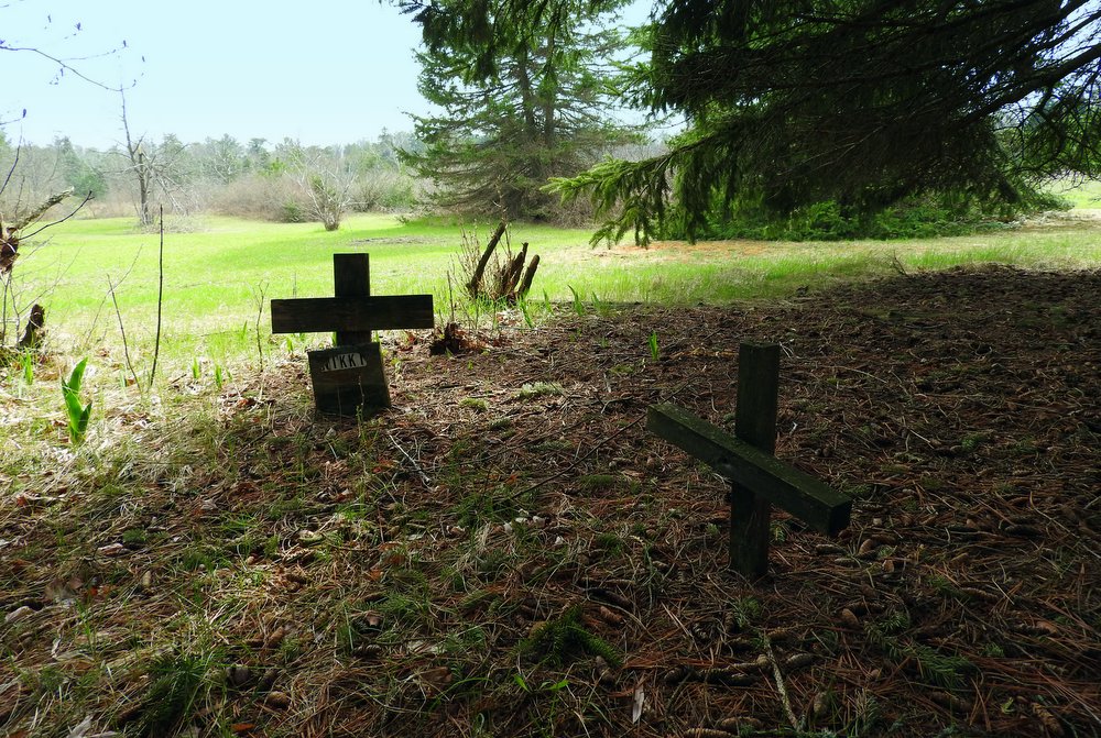 While walking around the back side of the house, I found a pet cemetery in the woods behind our house.